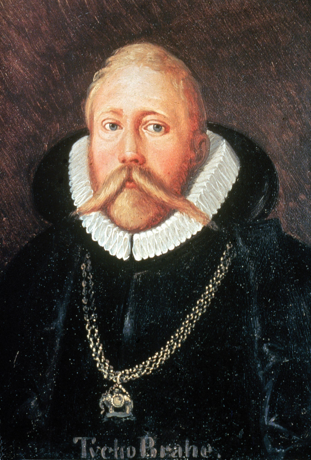 Hand-copied painted portrait of Tycho Brahe, reproduced in the Opera Omnia