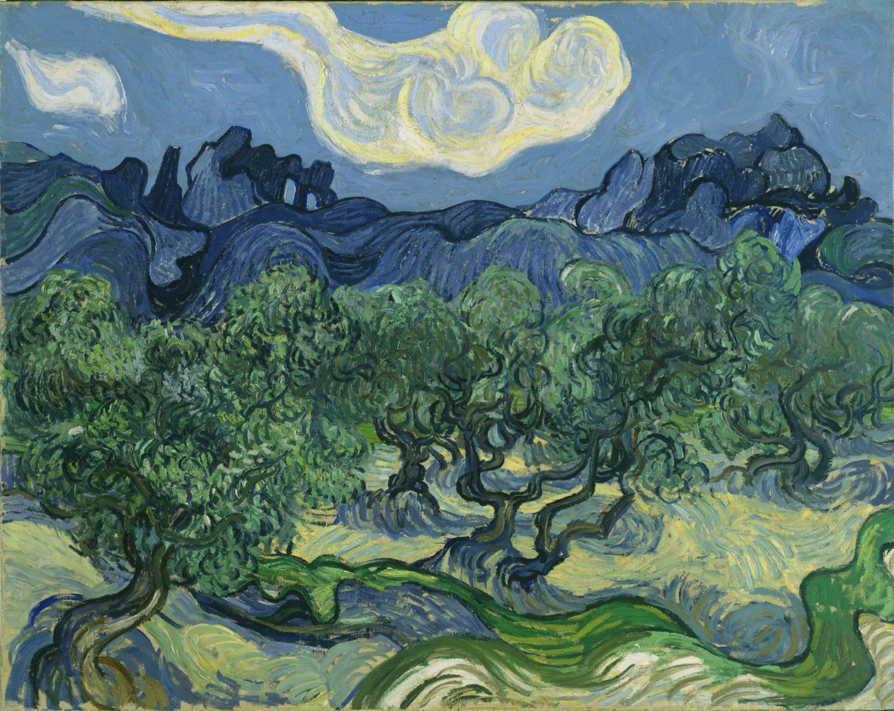 An oil painting of a grove of olive trees with twisted trunks on rough ground, a ridge of blue limestone hills behind them, and a white cloud curling across a blue sky