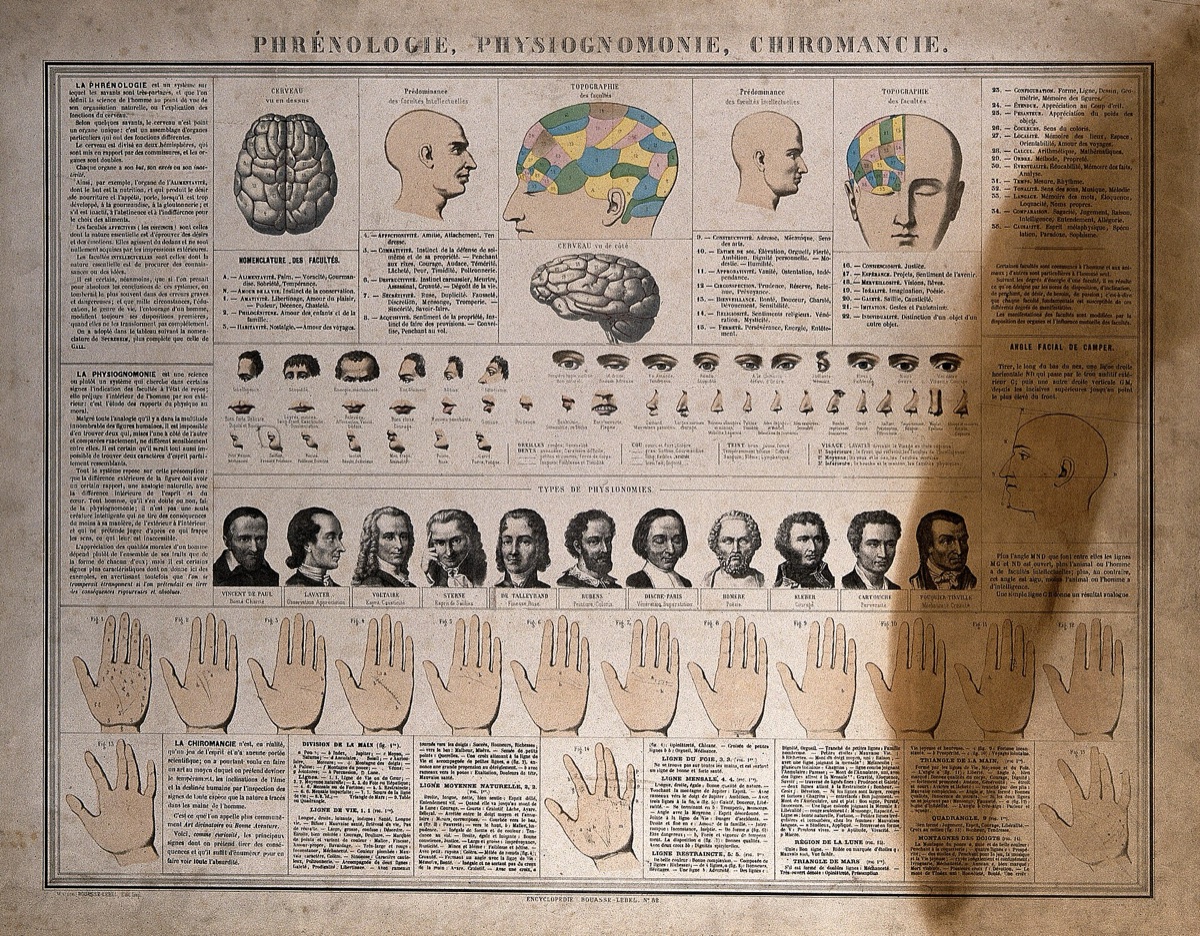 A printed nineteenth-century French wall chart with diagrams of brains, rows of profile heads and faces, and a row of annotated palms
