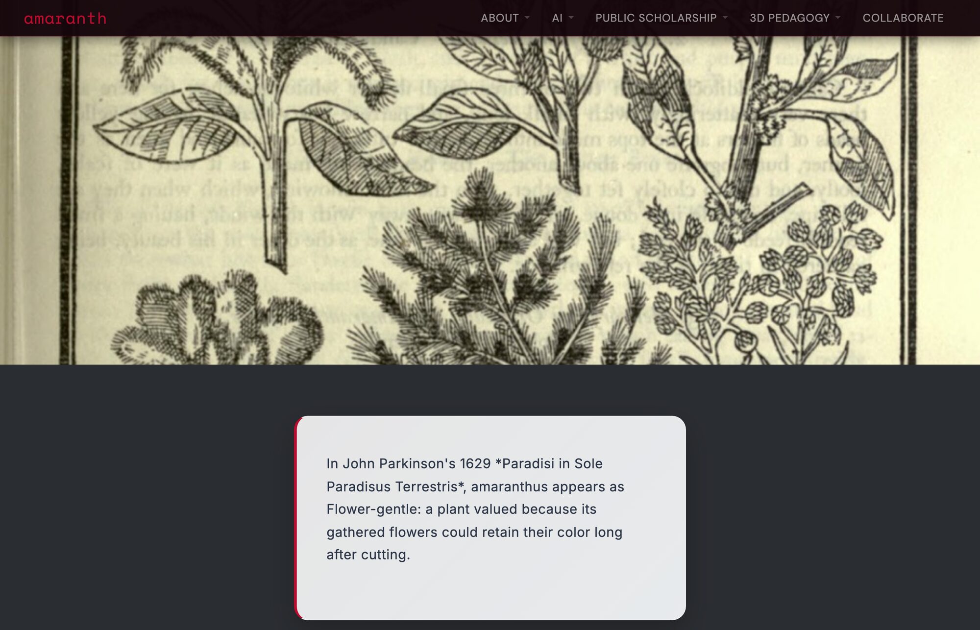 A scroll-driven narrative with a caption box over a botanical woodcut